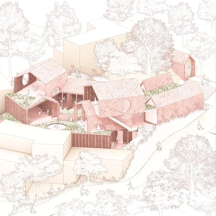 Diagrama axonométrico de Irene Wartski, Colombia
